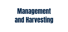 Management and Harvesting