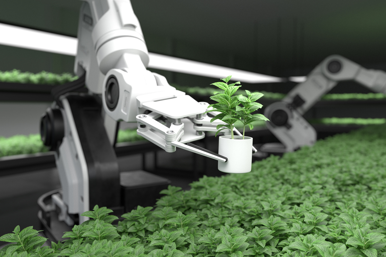 Smart Robotic Farm Concept